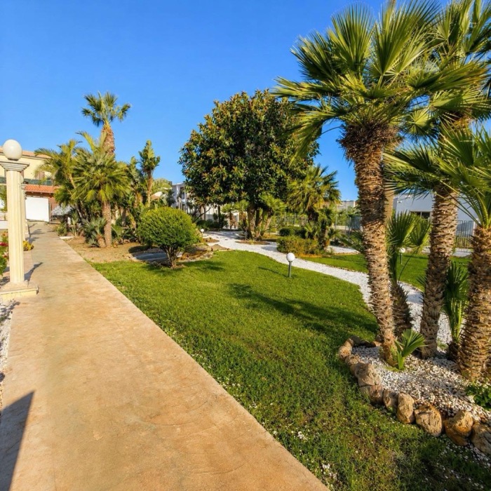 Vialetto del giardino tra le palme
